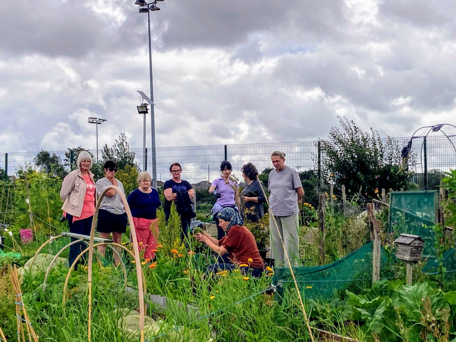 group of students from a horticulture workshop gathering around the tutor in the allotments during a workshop