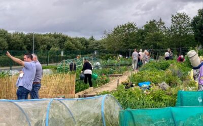 Open Day at Enniscorthy Community Allotments