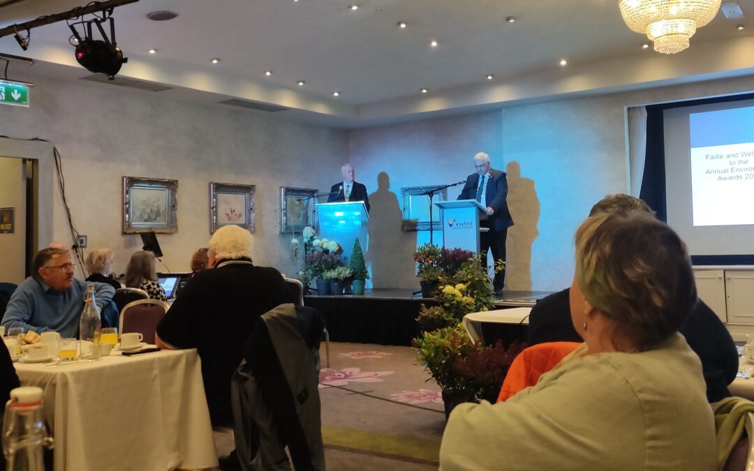 people attending the Keep Wexford Beautiful 2025 awards ceremony while two speakers are presenting the prizes