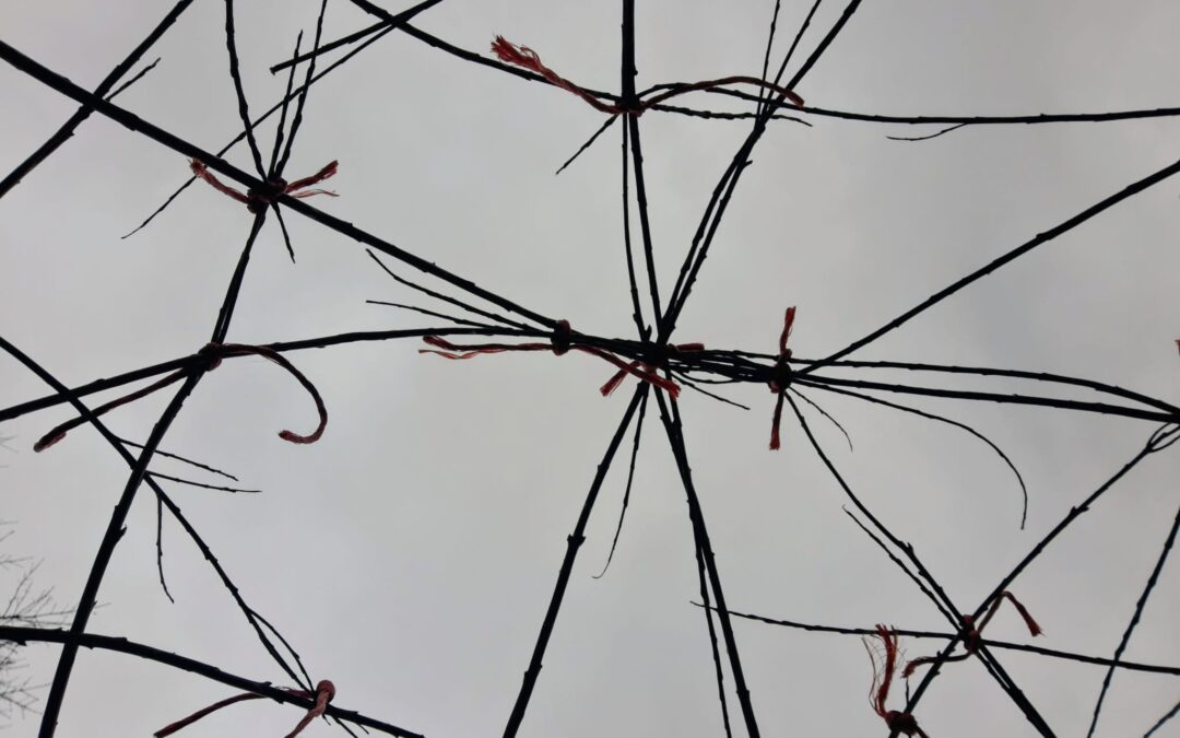 View of the willow dome's ceiling from below