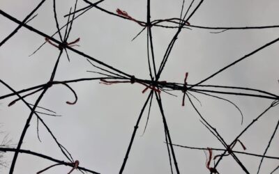 A New Willow Dome Takes Root at Enniscorthy Community Allotments