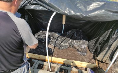 Growing Mushrooms at ECA: What We Learned Working Against the Elements